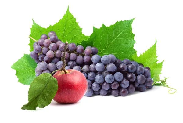 Farbenfrohe gesunde frische Früchte — Stockfoto