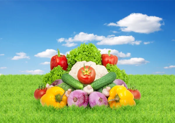 Blandade färska grönsaker — Stockfoto