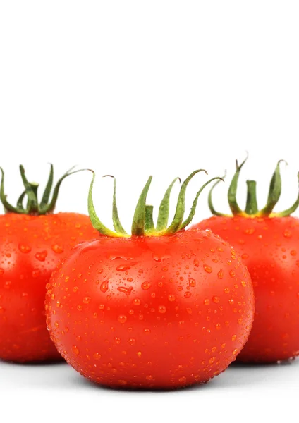 Tři červené rajčat — Stock fotografie