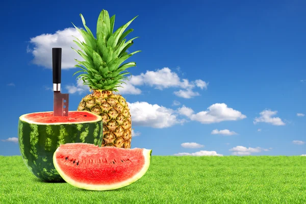 Pineapple and watermelon — Stock Photo, Image