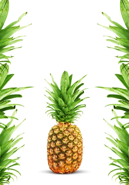 Ananas maturo — Foto Stock
