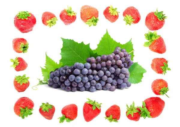 Fargerik frisk frukt – stockfoto