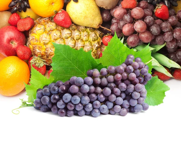 Farverig sund frisk frugt . - Stock-foto