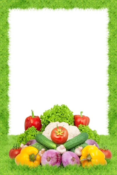 신선한 모듬된 야채 — 스톡 사진