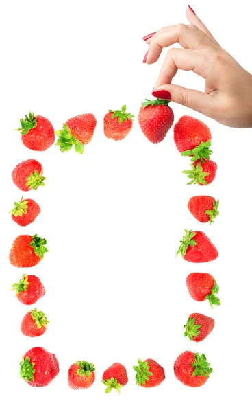 손에 있는 딸기 — 스톡 사진
