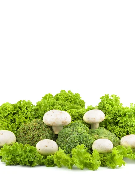 双孢菇上生菜 — 图库照片
