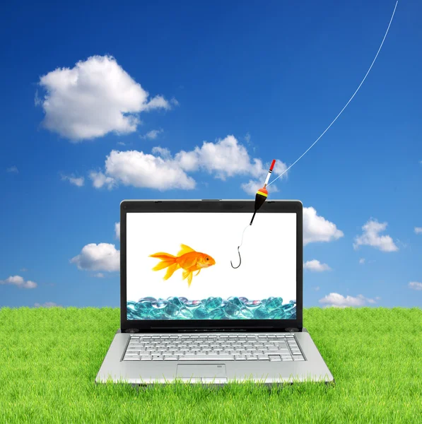 Золота рибка в ноутбуці — стокове фото
