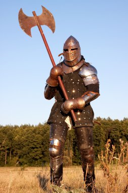 Medieval knight clipart