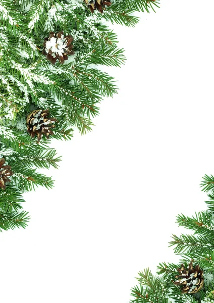 クリスマス雪とコーンとフレームワーク — ストック写真