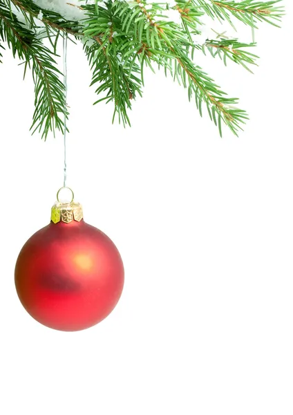 Branches with a Christmas toy — Stock Photo, Image