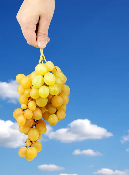 Bunch of fresh green grapes — Stock Photo, Image