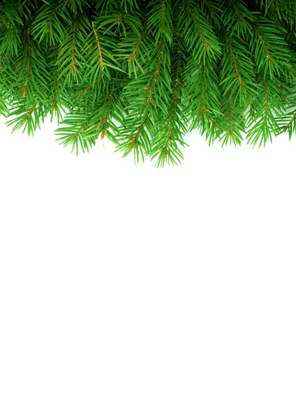 緑のクリスマスのフレームワーク — ストック写真