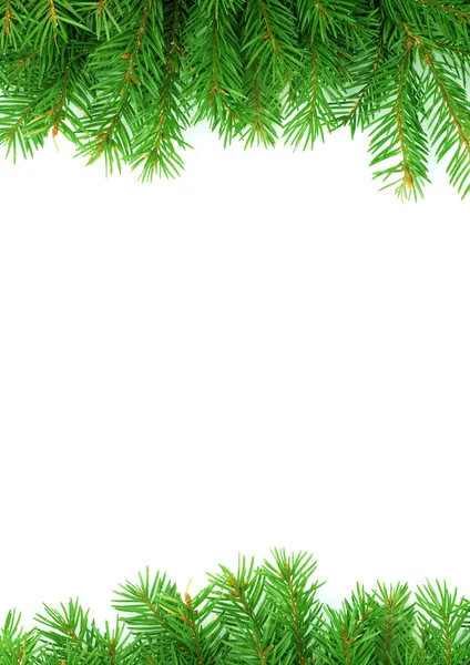 Weihnachtsgrüner Rahmen — Stockfoto
