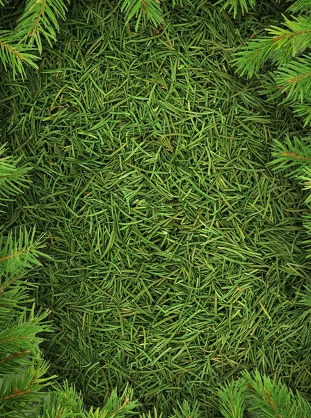 Christmas spruce texture — Stock Fotó