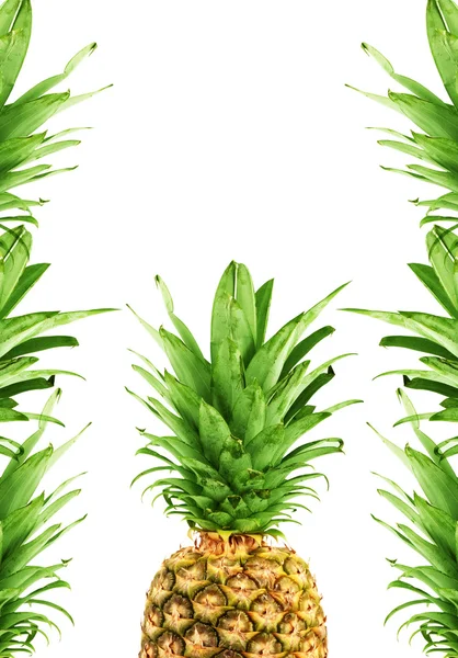 Érett ananász — Stock Fotó