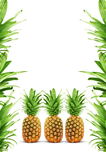 Rijp ananas — Stockfoto