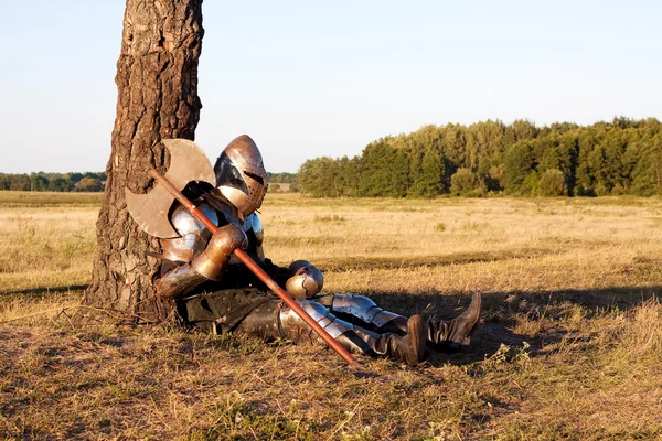Medieval knight Stock Image