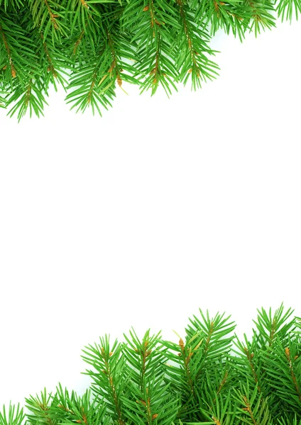緑のクリスマスのフレームワーク — ストック写真