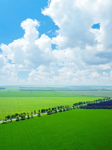 Зеленое поле . — стоковое фото