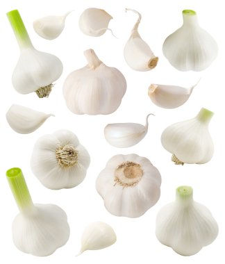 Garlic set. clipart