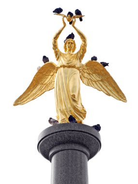 Gold angel and pigeones. clipart