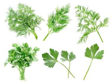 Parsley and dill. clipart