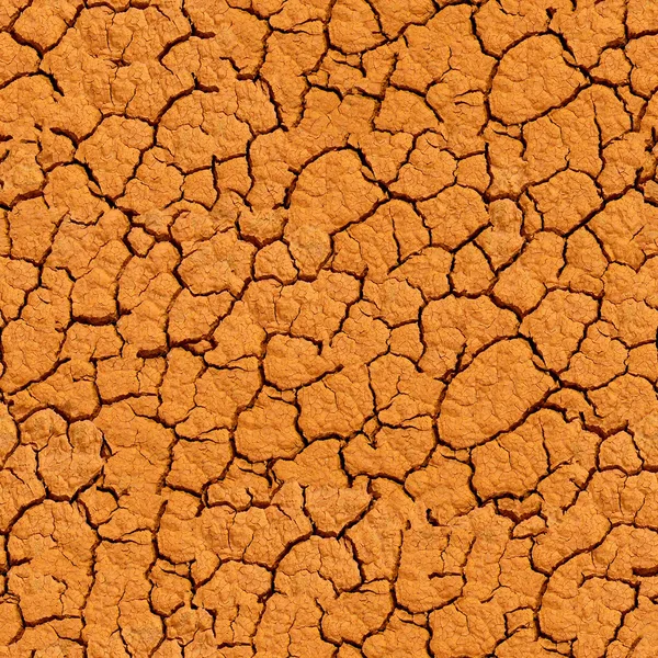 Modèle de sol fissuré . — Photo