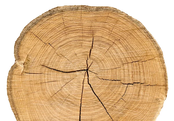 木製分割カット. — ストック写真