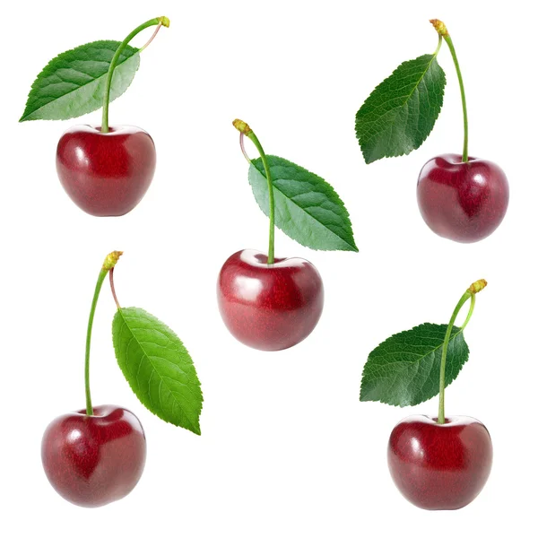 Cherry set. — Stock Photo, Image