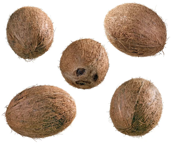 Kokosnüsse. — Stockfoto