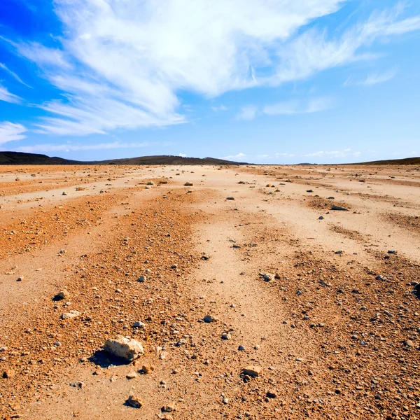 Deserto pietroso . — Foto Stock