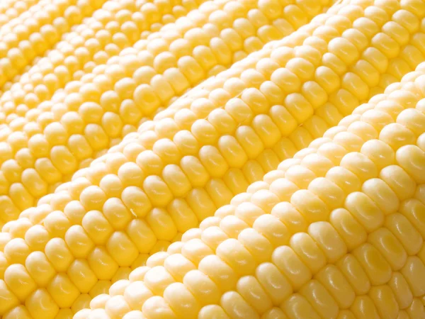 Corn. — Stock Photo, Image