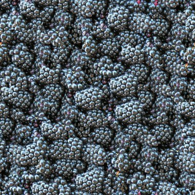 Blackberry seamless background. clipart