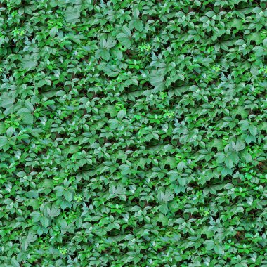 Leafs seamless background. clipart