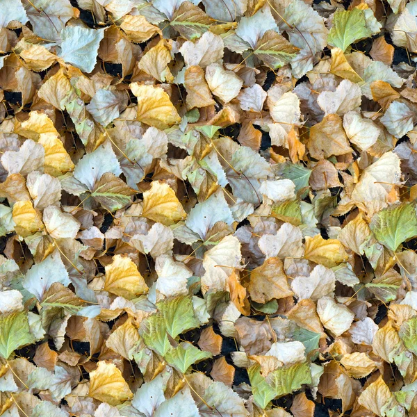 Löven faller sömlös bakgrund. — Stockfoto