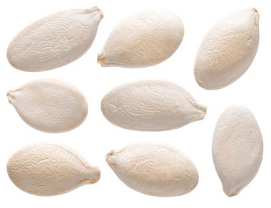 Pumpkin seeds. clipart