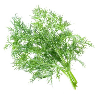 Dill. clipart