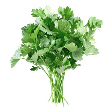Parsley. clipart