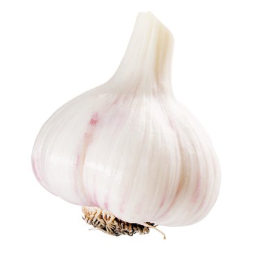 Garlic bulb. clipart