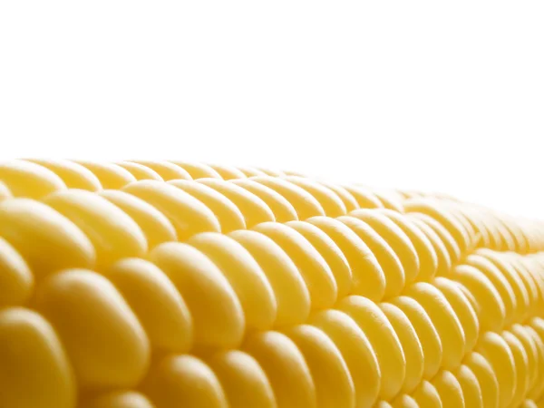 Kukurydza. — Zdjęcie stockowe