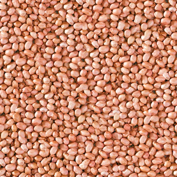 stock image Peanut seamless background.