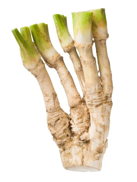 stock image Horseradish.