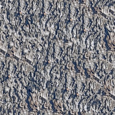 Bark seamless background. clipart