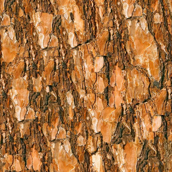 Pine bark sömlös bakgrund. — Stockfoto