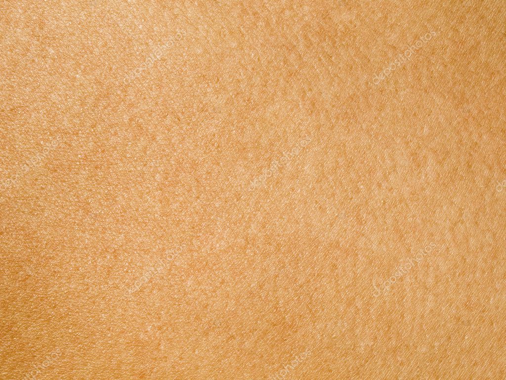 Skin. Stock Photo By ©leonardi 1204741