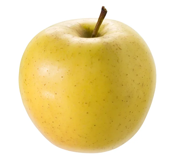 Manzana amarilla . —  Fotos de Stock