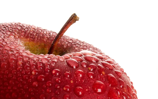 Manzana roja húmeda . —  Fotos de Stock
