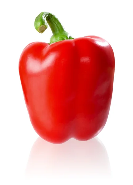 Red pepper. — Stock Photo, Image