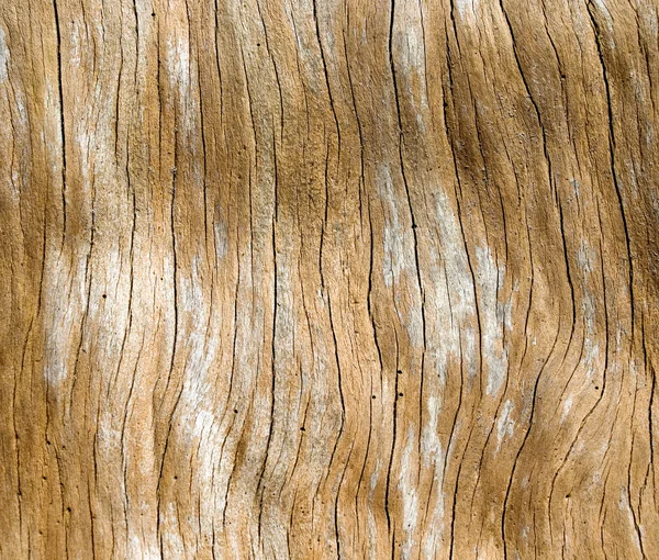 Деревянная поверхность . — стоковое фото