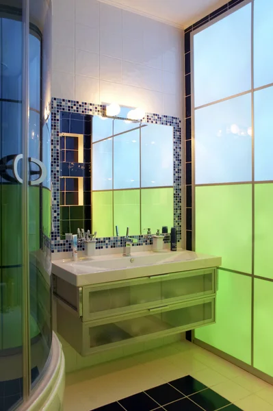 Chamelеon bathroom — Stock Photo, Image